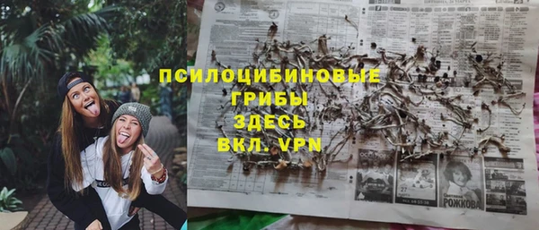 соль ск Белокуриха
