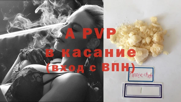 сатива Белоозёрский